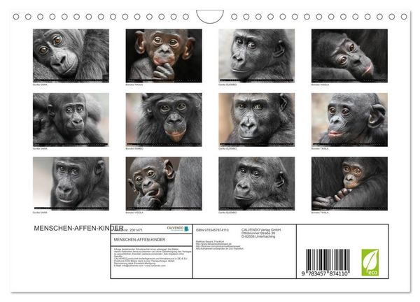 Produktbild: MENSCHEN-AFFEN-KINDER (Wandkalender 2026 DIN A4 quer), CALVENDO Monatskalender