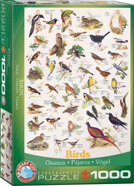 Eurographics Affiche sur les Oiseaux