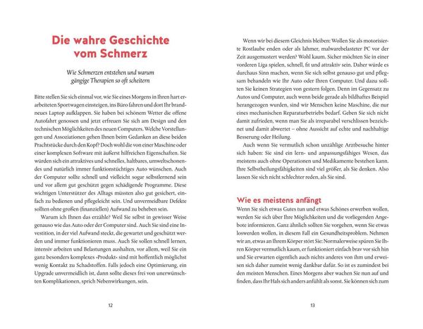 Produktbild: Die Schmerzfalle