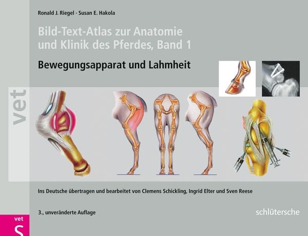 Bild-Text-Atlas zur Anatomie und Klinik des Pferdes, Gebundene Ausgabe von Ronald J. Riegel,Susan E. Hakola, Schlütersche Verlag, 978-3-89993-029-0
