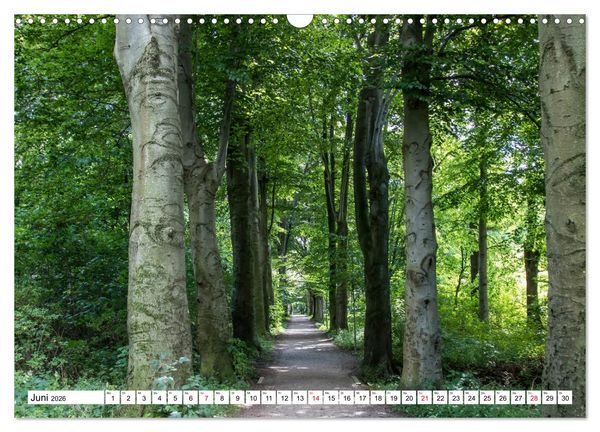 Produktbild: Langenhagen erleben (Wandkalender 2026 DIN A3 quer), CALVENDO Monatskalender