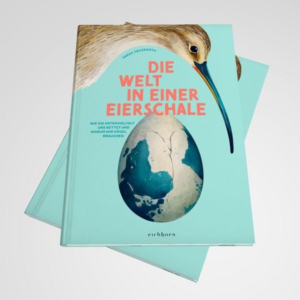 Produktbild: Die Welt in einer Eierschale