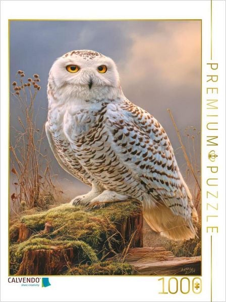CALVENDO Puzzle Greifvögel | 1000 Teile Lege-Größe 64x48cm Foto-Puzzle für glückliche Stunden