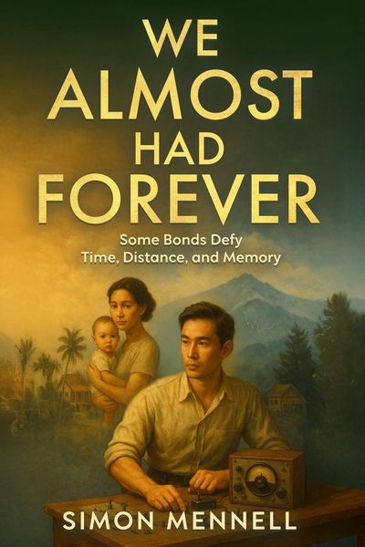 Produktbild: We Almost Had Forever