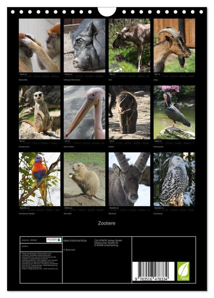 Produktbild: Zootiere (Wandkalender 2026 DIN A4 hoch), CALVENDO Monatskalender