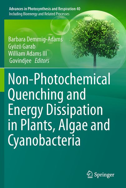Produktbild: Non-Photochemical Quenching and Energy Dissipation in Plants, Algae and Cyanobacteria