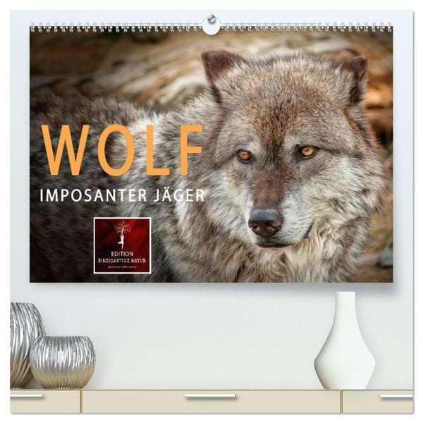 Produktbild: Wolf - Imposanter J&auml;ger (hochwertiger Premium Wandkalender 2026 DIN A2 quer), Kunstdruck in Hochglanz