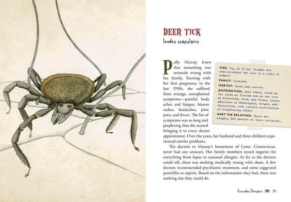 Produktbild: Wicked Bugs (Young Readers Edition)