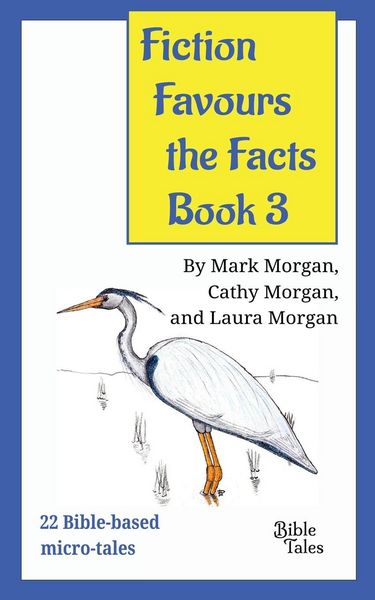 Produktbild: Fiction Favours the Facts - Book 3
