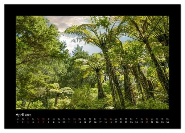 Produktbild: Neuseeland - Wunderwelt der Natur (Wandkalender 2026 DIN A3 quer), CALVENDO Monatskalender
