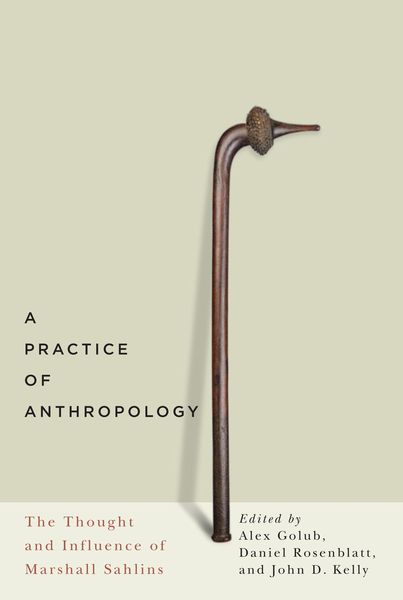 Produktbild: Practice of Anthropology