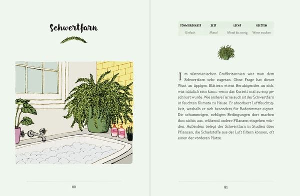 Produktbild: Mein Garten auf der Fensterbank