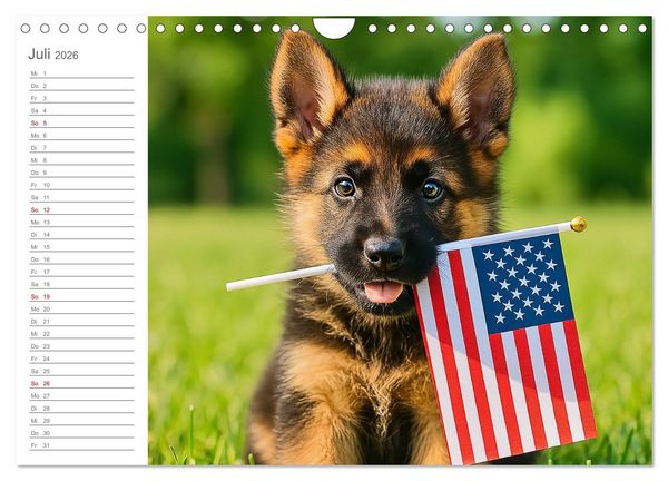 Produktbild: Sch&auml;ferhundliebe - Deine t&auml;gliche Dosis Welpenfreude &ndash; ganz ohne Gassi. (Wandkalender 2026 DIN A4 quer), CALVENDO Monatskalender