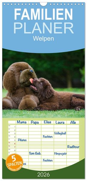Produktbild: Familienplaner 2026 - Welpen 2026 mit 5 Spalten (Wandkalender, 21 x 45 cm) CALVENDO