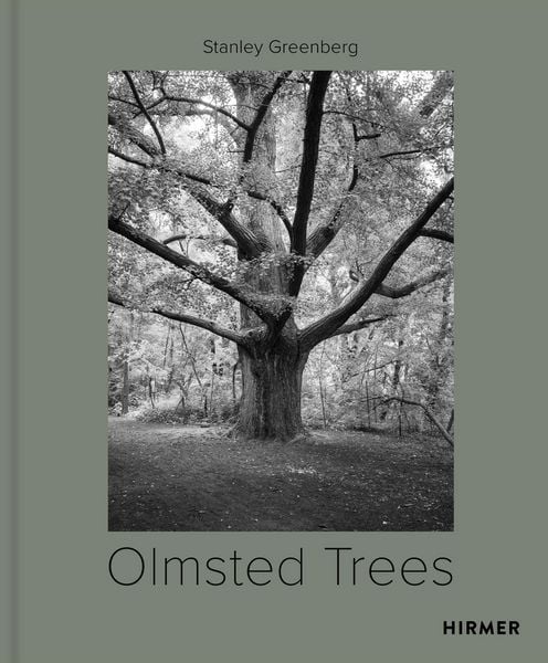 Produktbild: Olmsted Trees