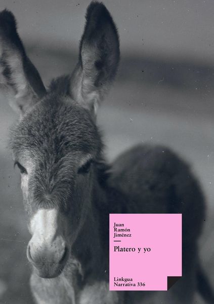 Produktbild: Platero y yo