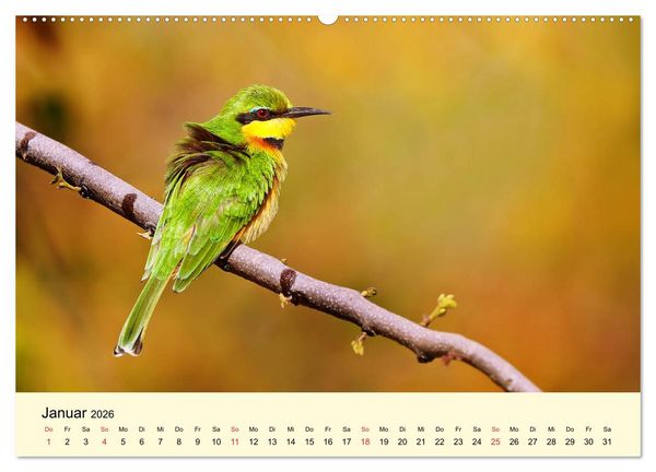 Produktbild: Traumhaftes Malawi (Wandkalender 2026 DIN A2 quer), CALVENDO Monatskalender
