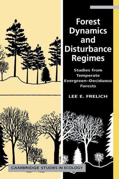 Produktbild: Forest Dynamics and Disturbance Regimes