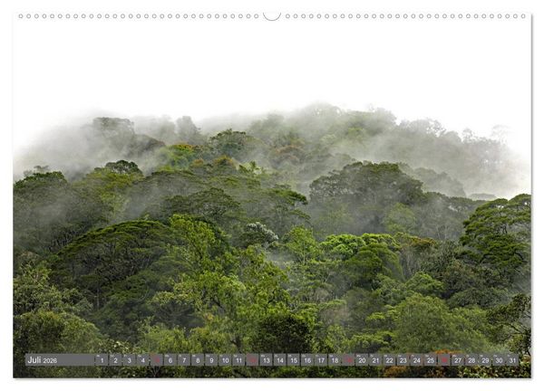 Produktbild: Im Regenwald von Borneo (Wandkalender 2026 DIN A2 quer), CALVENDO Monatskalender
