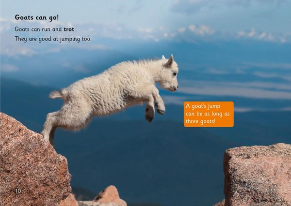 Produktbild: Goat Skills