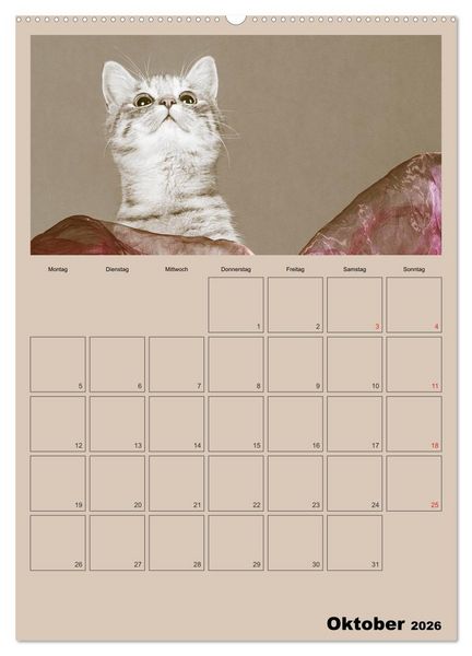 Produktbild: Mit Katzen durchs Jahr / Planer (hochwertiger Premium Wandkalender 2026 DIN A2 hoch), Kunstdruck in Hochglanz