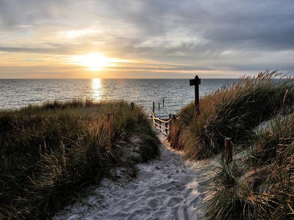 Produktbild: CALVENDO Puzzle Aufgang zum Naturschutzgebiet Dar&szlig;er Ort | 1000 Teile Lege-Gr&ouml;&szlig;e 64x48cm Foto-Puzzle f&uuml;r gl&uuml;ckliche Stunden