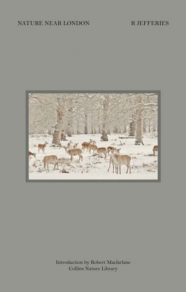 Produktbild: Jefferies, R: Nature Near London
