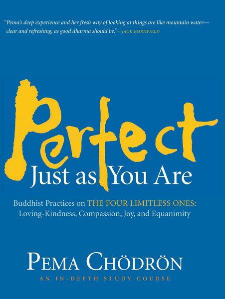 Produktbild: Perfect Just as You Are