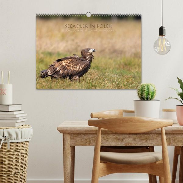 Produktbild: Seeadler in Polen (Wandkalender 2026 DIN A3 quer), CALVENDO Monatskalender