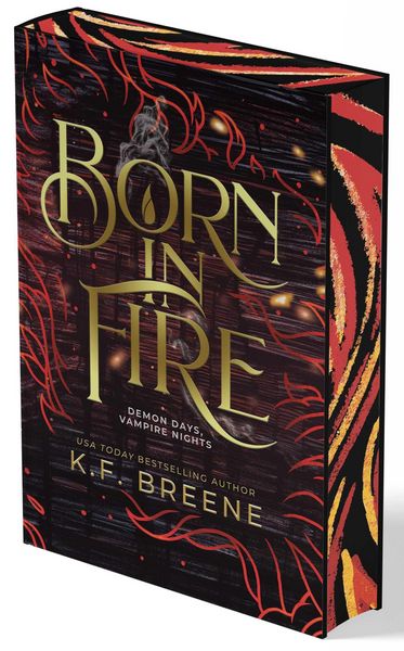 Produktbild: Born in Fire Book 1