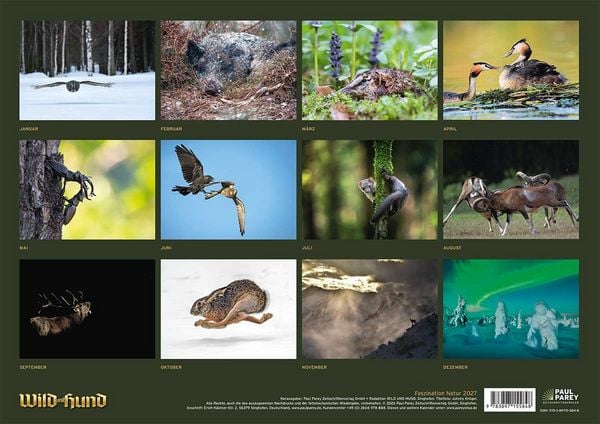 Produktbild: Wild und Hund Edition: Faszination Natur Kalender 2027