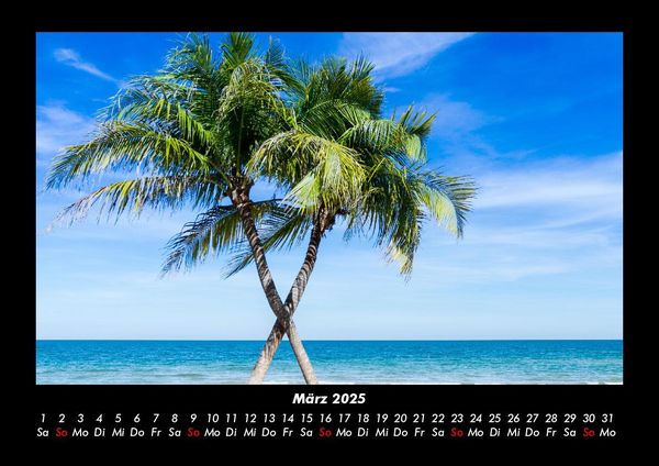 Produktbild: Palmen 2025 Fotokalender DIN A3