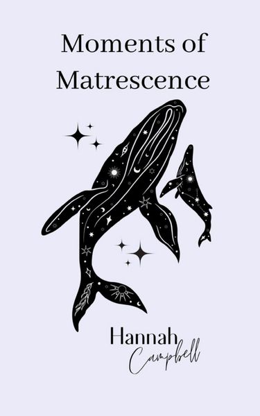 Produktbild: Moments of Matrescence