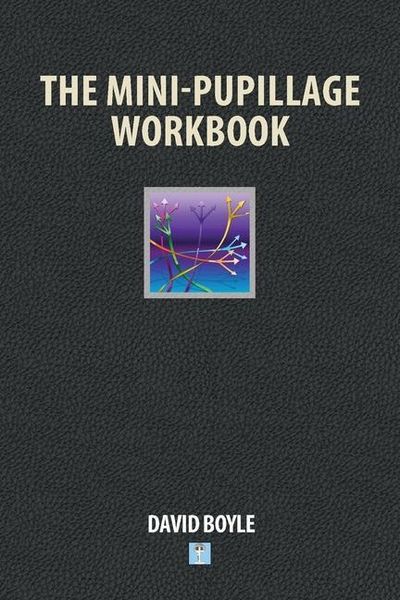 Produktbild: The Mini-Pupillage Workbook