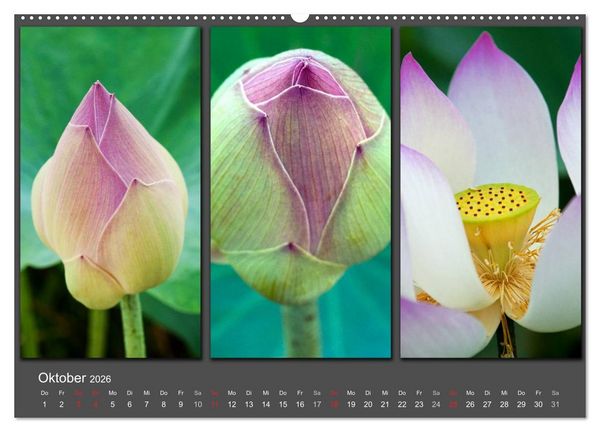 Produktbild: MEDITATION Zeit f&uuml;r mich (Wandkalender 2026 DIN A2 quer), CALVENDO Monatskalender