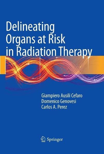 Produktbild: Delineating Organs at Risk in Radiation Therapy