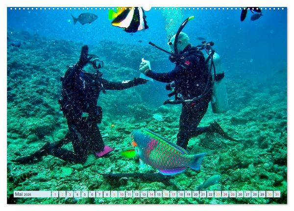 Produktbild: Tauchen - Abenteuer unter Wasser (hochwertiger Premium Wandkalender 2026 DIN A2 quer), Kunstdruck in Hochglanz