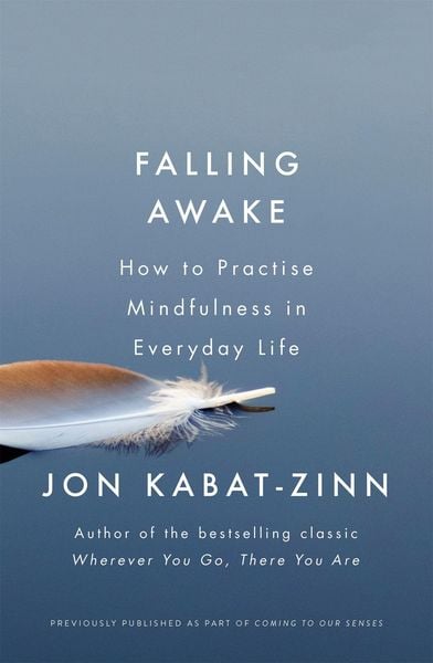 Produktbild: Falling Awake