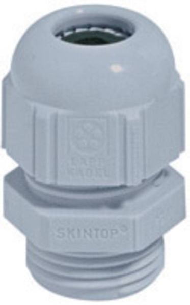 LAPP 53018060 Kabelverschraubung PG29 Polyamid Lichtgrau (RAL 7035) 1St.