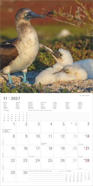 Produktbild: Tierbabys 2027