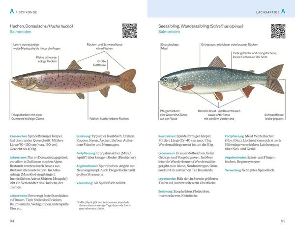Produktbild: Fischerpr&uuml;fung