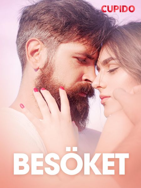 Produktbild: Bes&ouml;ket - erotisk novell