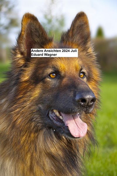 Produktbild: Andere Ansichten Juli 2024