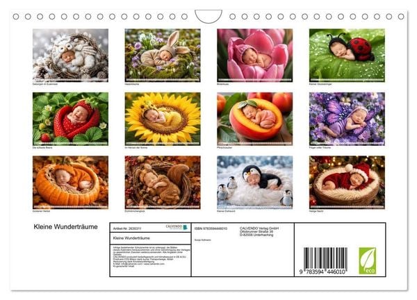 Produktbild: Kleine Wundertr&auml;ume (Wandkalender 2027 DIN A4 quer), CALVENDO Monatskalender