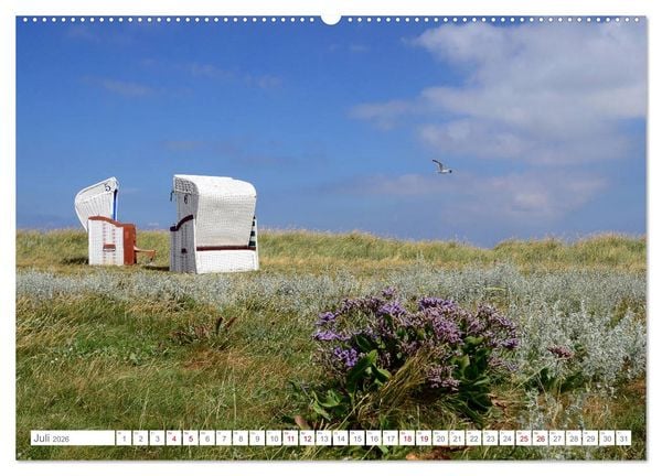 Produktbild: Sommertage auf Hallig Hooge (hochwertiger Premium Wandkalender 2026 DIN A2 quer), Kunstdruck in Hochglanz