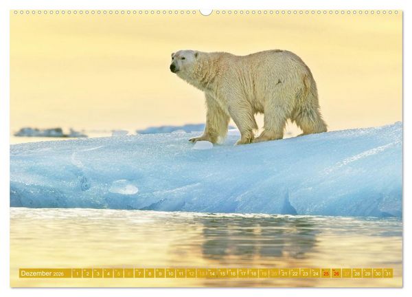 Produktbild: Farben und Muster der Erde (Wandkalender 2026 DIN A2 quer), CALVENDO Monatskalender