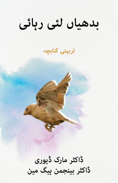 Produktbild: بدھیاں لئی رہائی (Liberty to the Captives)