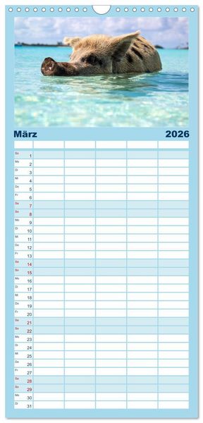 Produktbild: Familienplaner 2026 - Bahamas - Paradiesische Str&auml;nde. mit 5 Spalten (Wandkalender, 21 x 45 cm) CALVENDO
