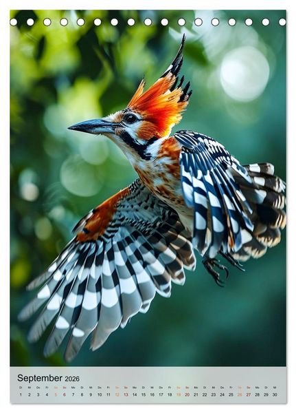 Produktbild: V&ouml;gel - K&uuml;nstler im Flug (Tischkalender 2026 DIN A5 hoch), CALVENDO Monatskalender