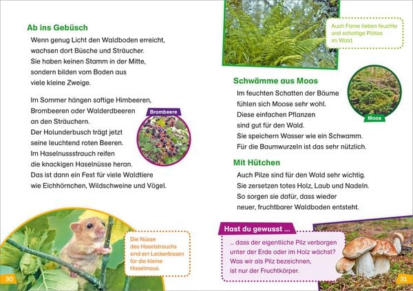 Produktbild: WAS IST WAS Erstes Lesen Band 6. Wald